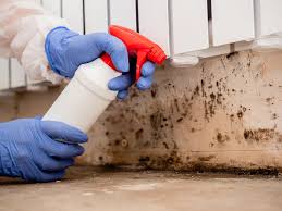 Best Comprehensive Air Testing for Mold Contaminants  in Florence Graham, CA